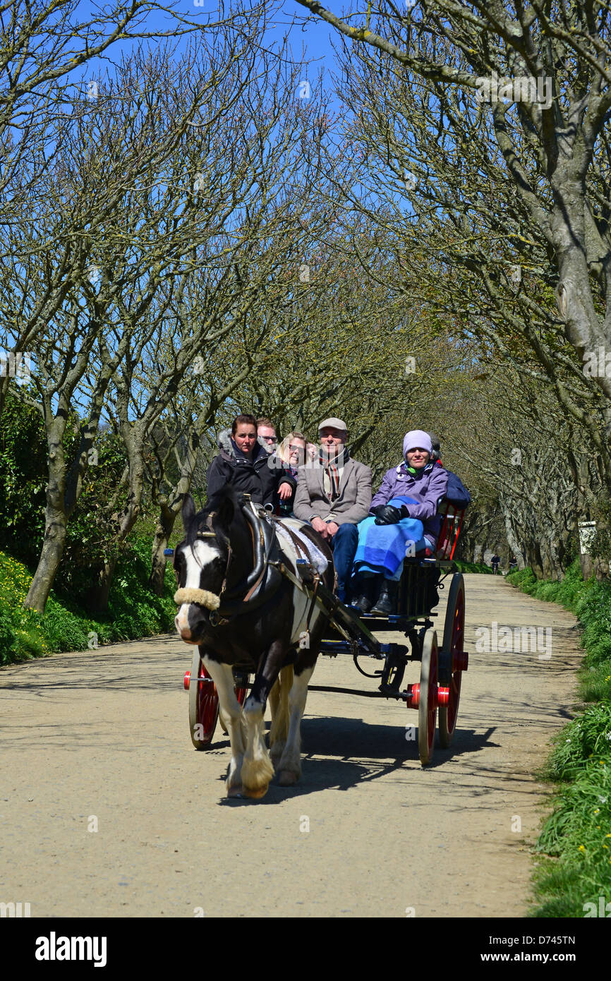 Touristen auf Pferdekutsche fahren, größere Sark Sark, Vogtei Guernsey, Channel Islands Stockfoto
