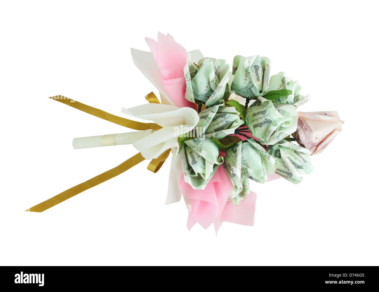 Geld-Blume auf weißem Hintergrund Stockfoto