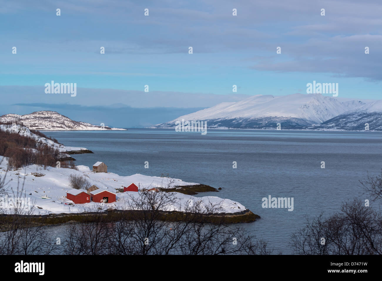 Häuser am Ufer einer Bucht zum Meer in der Nähe von Koppangen, Norwegen Stockfoto