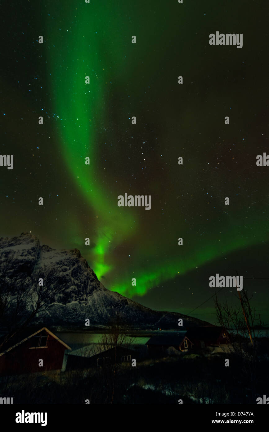 Nordlichter tanzen über die Hügel in Norwegen Stockfoto