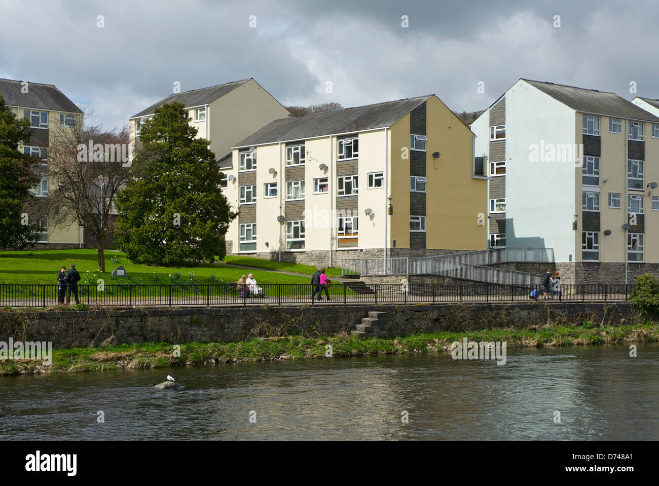 Wohnungen und Uferpromenade entlang des Flusses Kent, Kendal, Cumbria, England UK Stockfoto