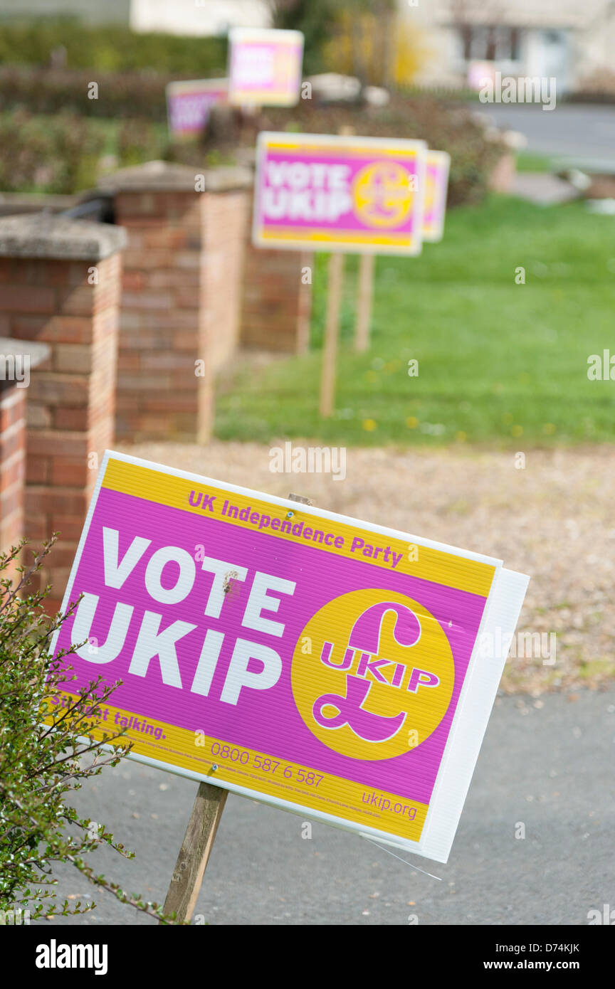 Ramsey, Cambridgeshire, Großbritannien. 29. April 2013.  Ein Meer der UK Independence Party-Unterstützung, Plakate außerhalb Häuser am Ramsey vor den Kommunalwahlen aufgereiht sind, am 2. Mai fällig. Ramsey ist die nur lokale Behörde kontrolliert durch die UKIP-Partei in Großbritannien seit 2011 mehrheitsfähig. Bildnachweis: Julian Eales/Alamy Live-Nachrichten Stockfoto