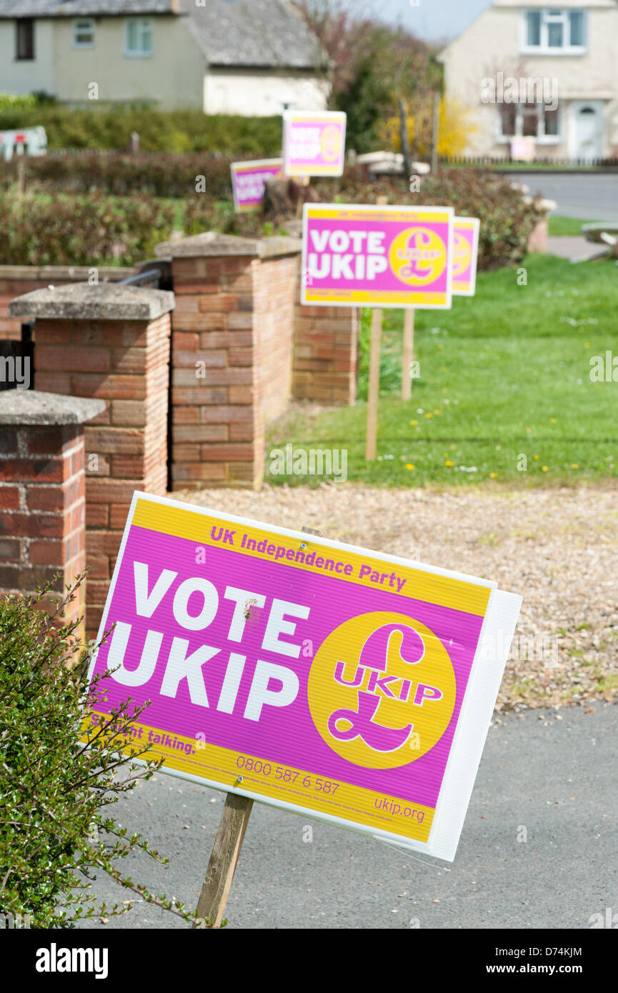 Ramsey, Cambridgeshire, Großbritannien. 29. April 2013.  Ein Meer der UK Independence Party-Unterstützung, Plakate außerhalb Häuser am Ramsey vor den Kommunalwahlen aufgereiht sind, am 2. Mai fällig. Ramsey ist die nur lokale Behörde kontrolliert durch die UKIP-Partei in Großbritannien seit 2011 mehrheitsfähig. Bildnachweis: Julian Eales/Alamy Live-Nachrichten Stockfoto