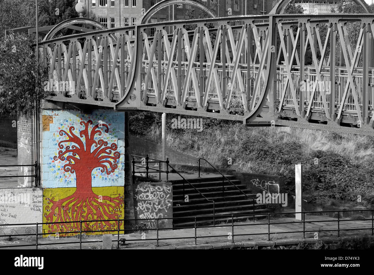 Malen eines Baumes, Straßenkunst, Pomona Docks, Salford Quays, Old Trafford, Manchester, UK Stockfoto