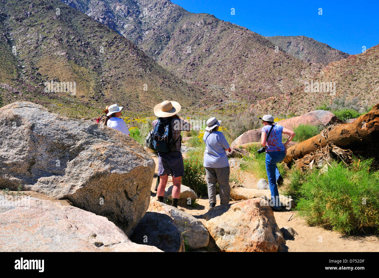 Wanderer auf dem Borrego Palm Canyon Trail in Anza-Borrego Desert State Park, Kalifornien Stockfoto