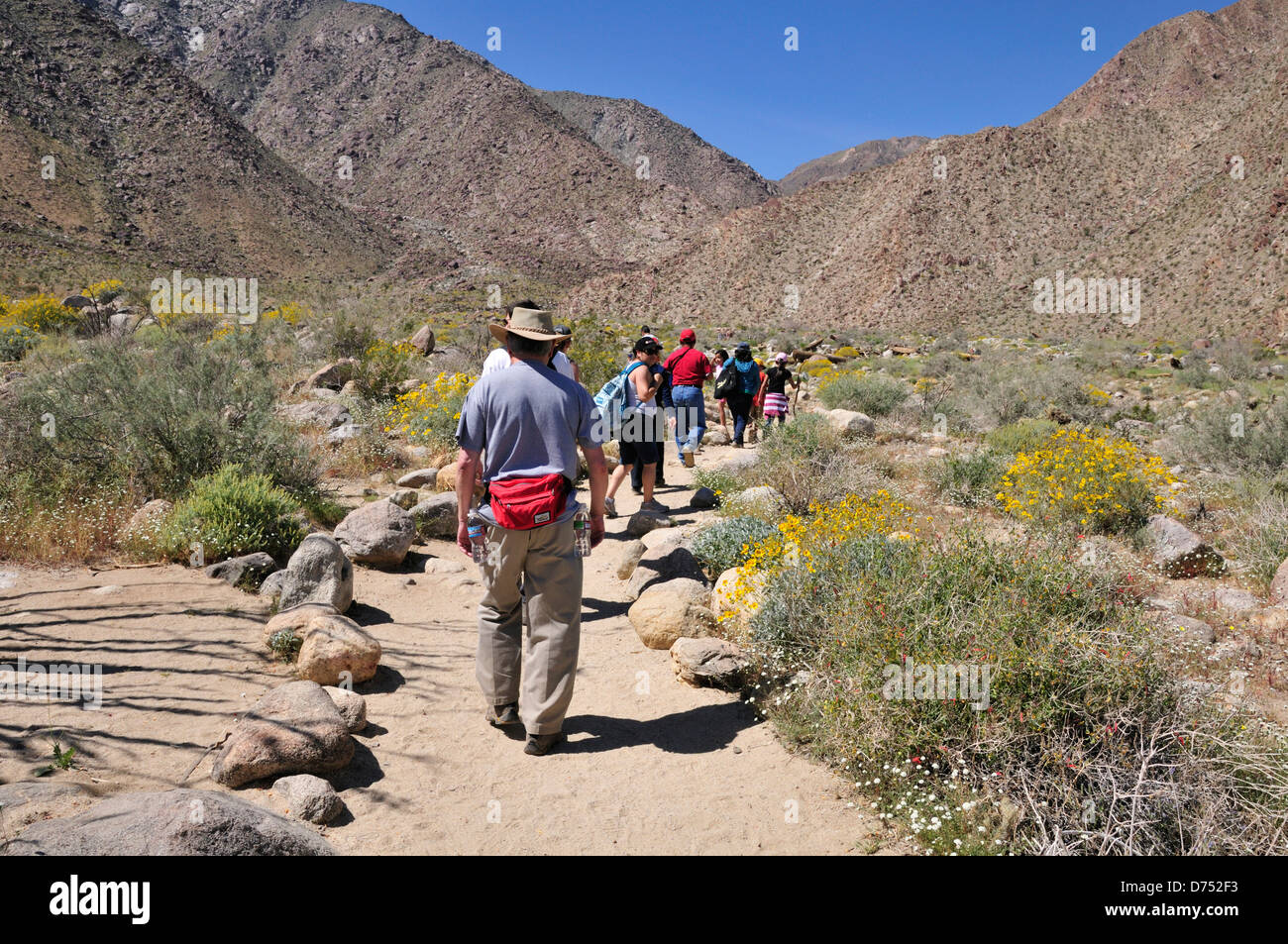 Wanderer auf dem Borrego Palm Canyon Trail in Anza-Borrego Desert State Park, Kalifornien Stockfoto