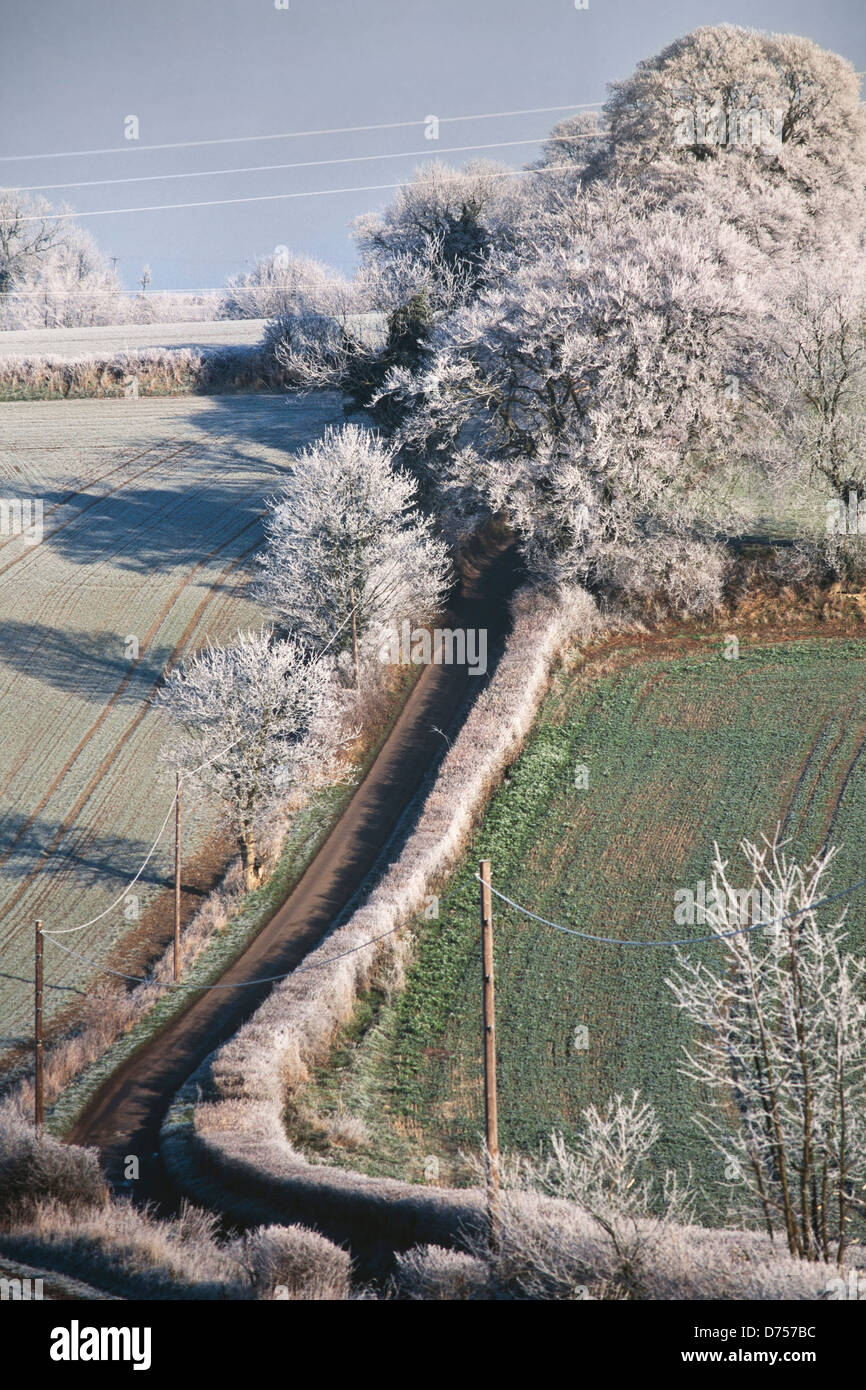 Raureif Landschaft, Hertfordshire, UK, Ländliches Motiv mit schmalen Feldweg, tief stehender Sonne. Stockfoto