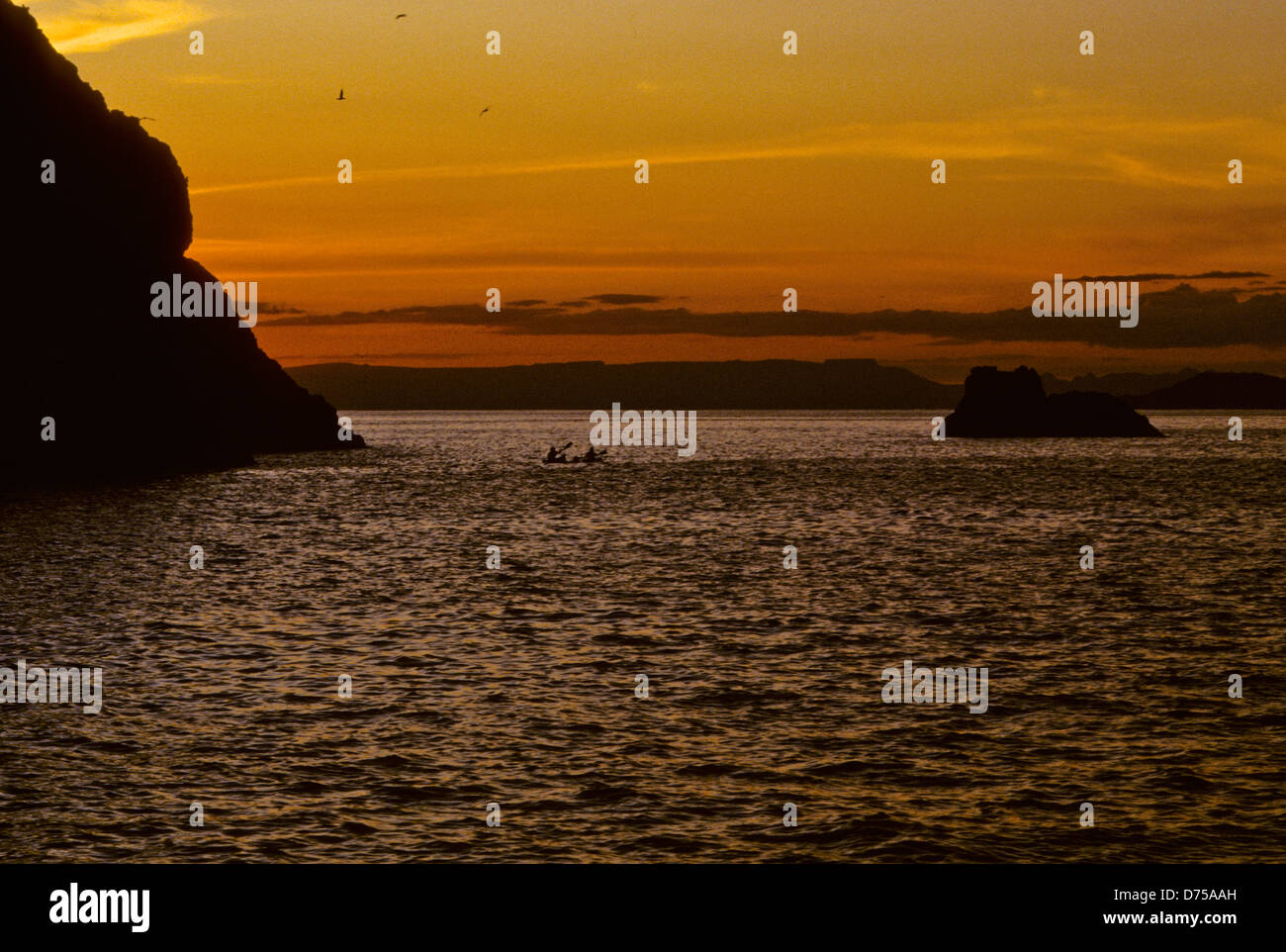 Sea of Cortez, Okt 1994 Digital Unterwasser schieben-Konvertierung, einer Bucht, die Halbinsel Baja California USA aus Mexiko trennt Stockfoto