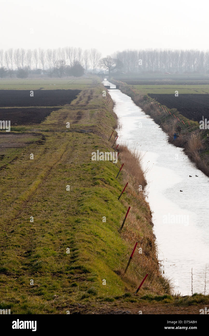 Einem künstlichen Fluss in den Mooren oder Fenland außerhalb Ely, Cambridgeshire, East Anglia UK Stockfoto