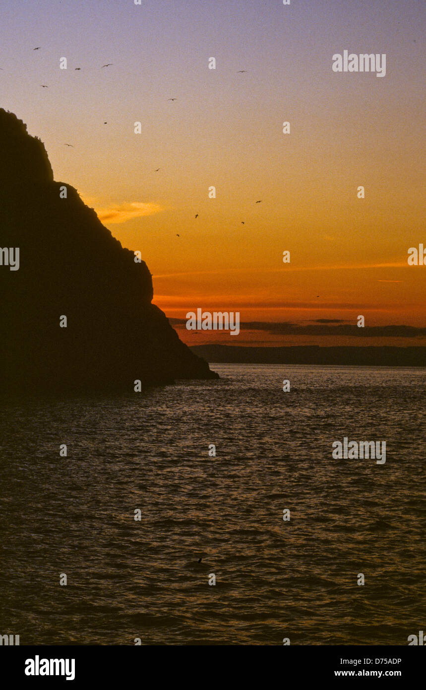 Sea of Cortez, Okt 1994 Digital Unterwasser schieben-Konvertierung, einer Bucht, die Halbinsel Baja California USA aus Mexiko trennt Stockfoto