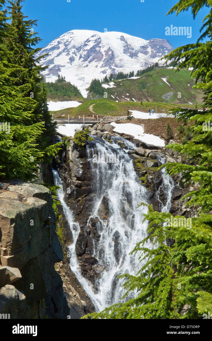 Myrtle fällt im Bereich Paradies Wiesen Mount Rainier Nationalpark, Washington, USA Stockfoto