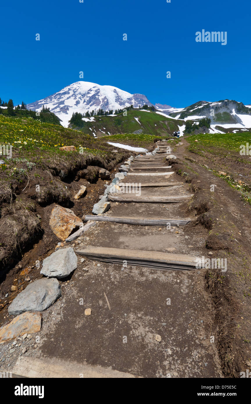 Skyline Trail im Bereich Paradies Wiesen, Mount Rainier Nationalpark, Washington, USA Stockfoto