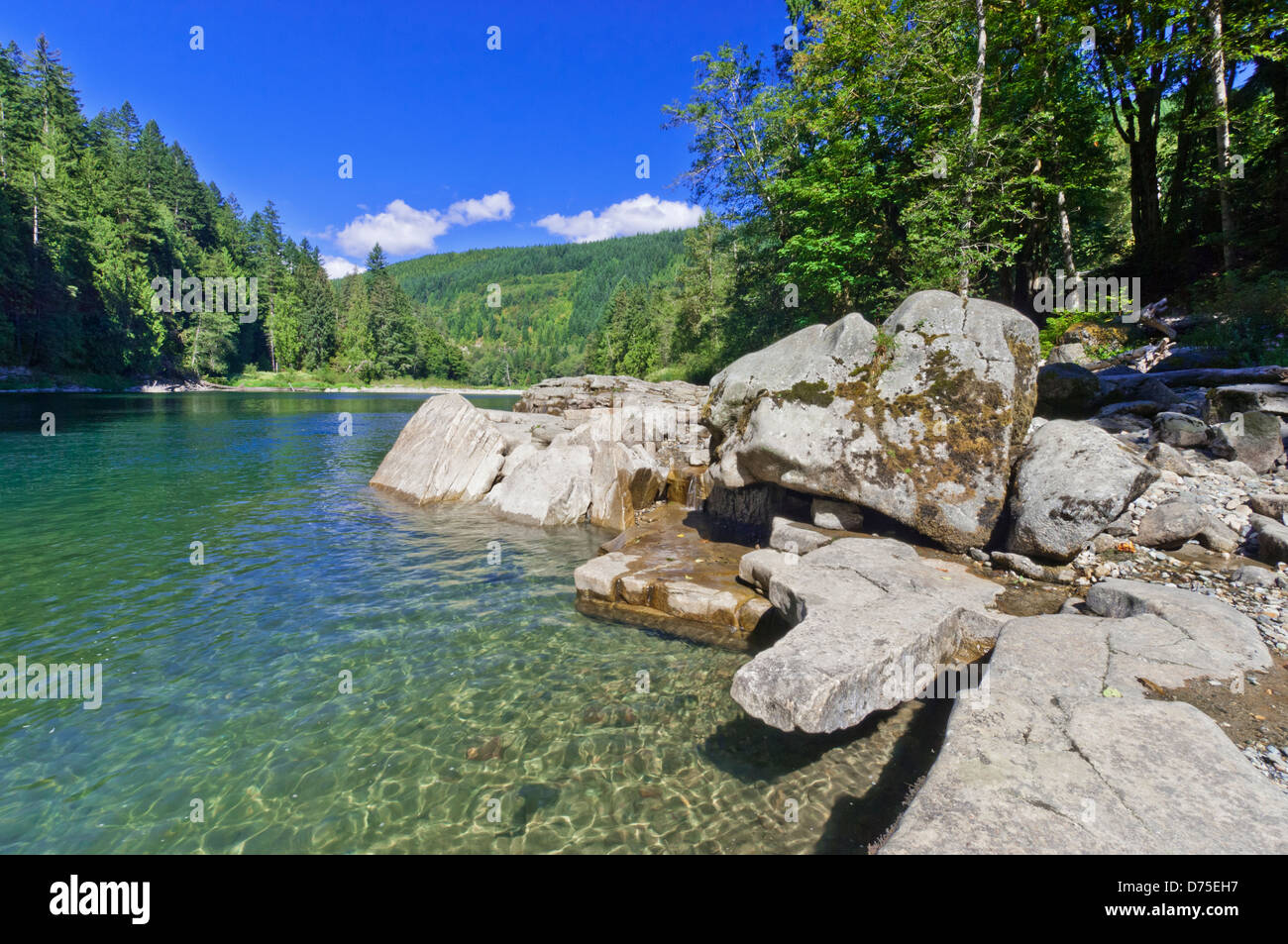 South Fork Skykomish River, Mount Baker-Snoqualmie National Forest, Washington, USA Stockfoto