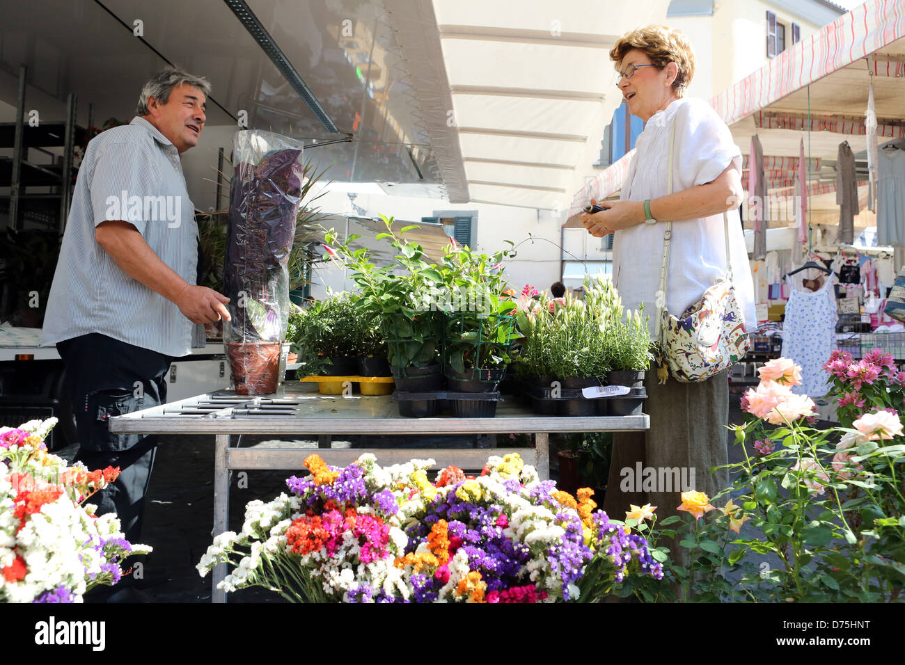 Aquapendente, Italien, kauft Frau auf einem Markt eine Pflanze Stockfoto