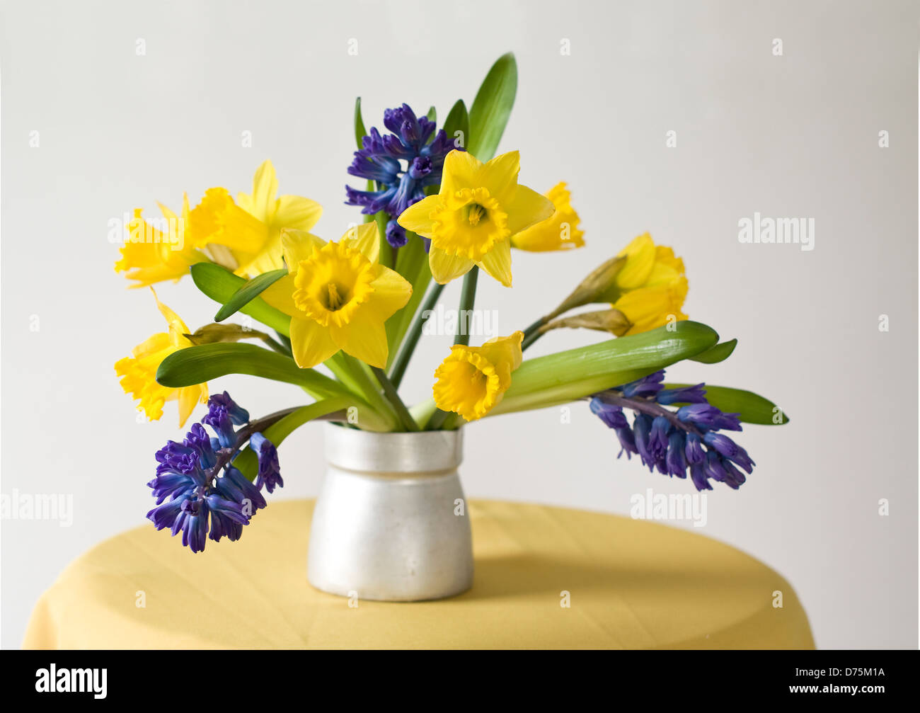 Narzissen, Hyazinthen, Tulpen Stilleben in Vase. Stockfoto