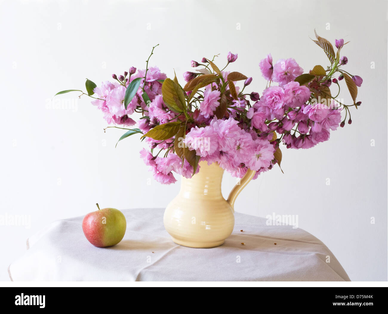 Spring Blossom Stilleben in Vase. Stockfoto