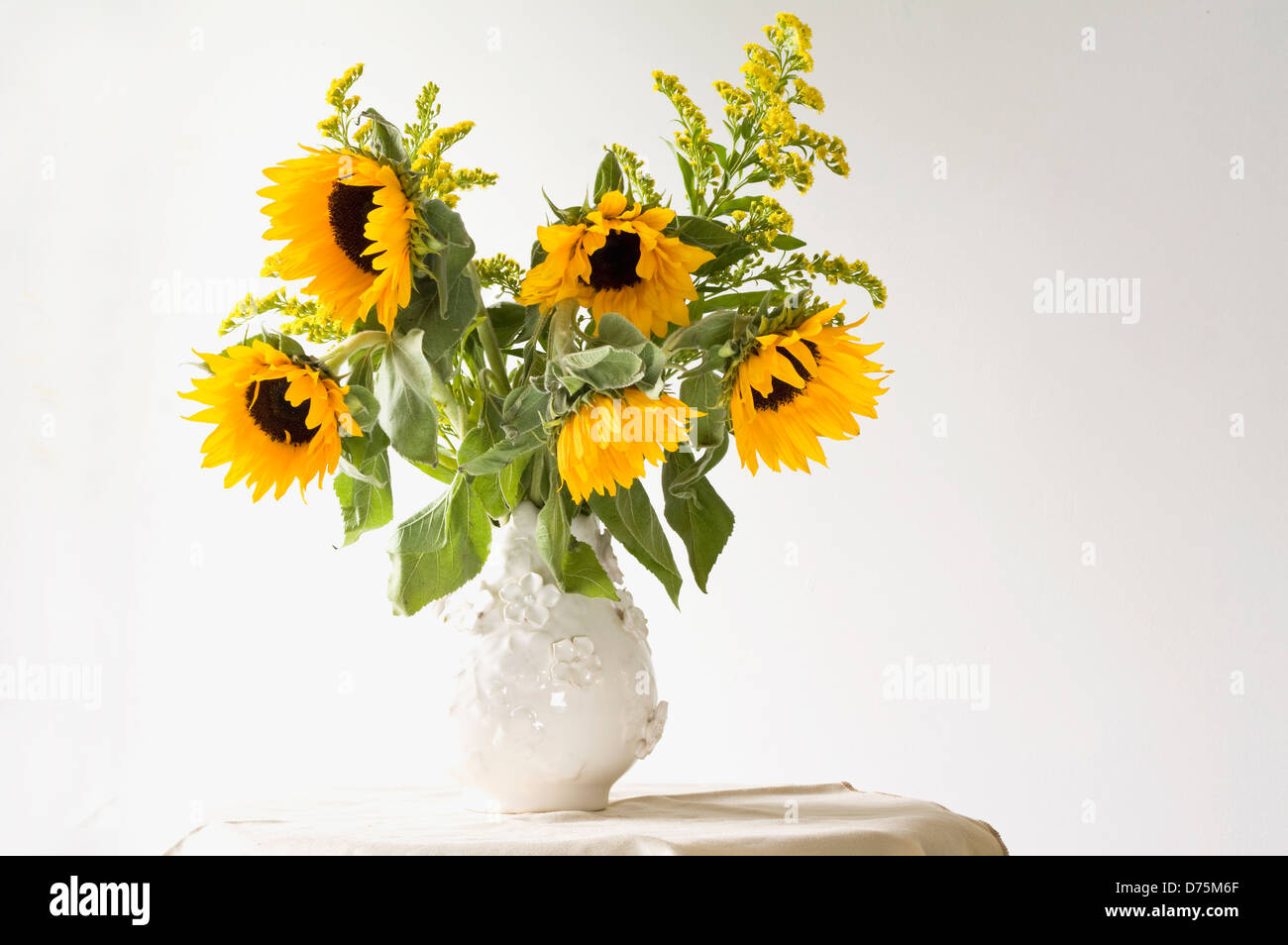 Sonnenblumen in Vase, Stillleben. Stockfoto