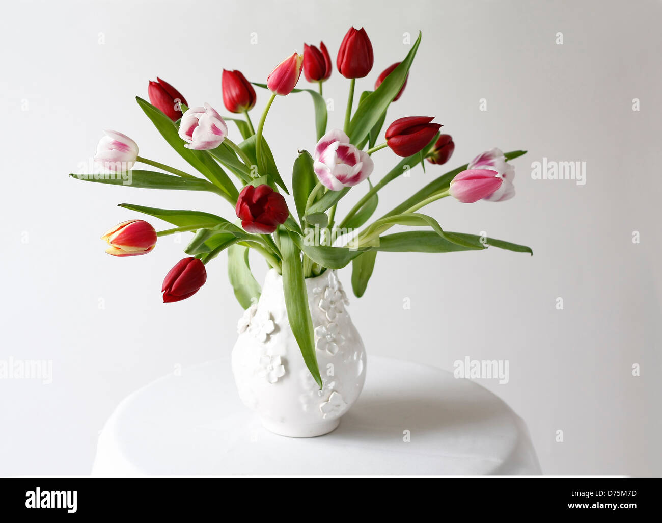 Tulpen-Stilleben in Vase. Stockfoto