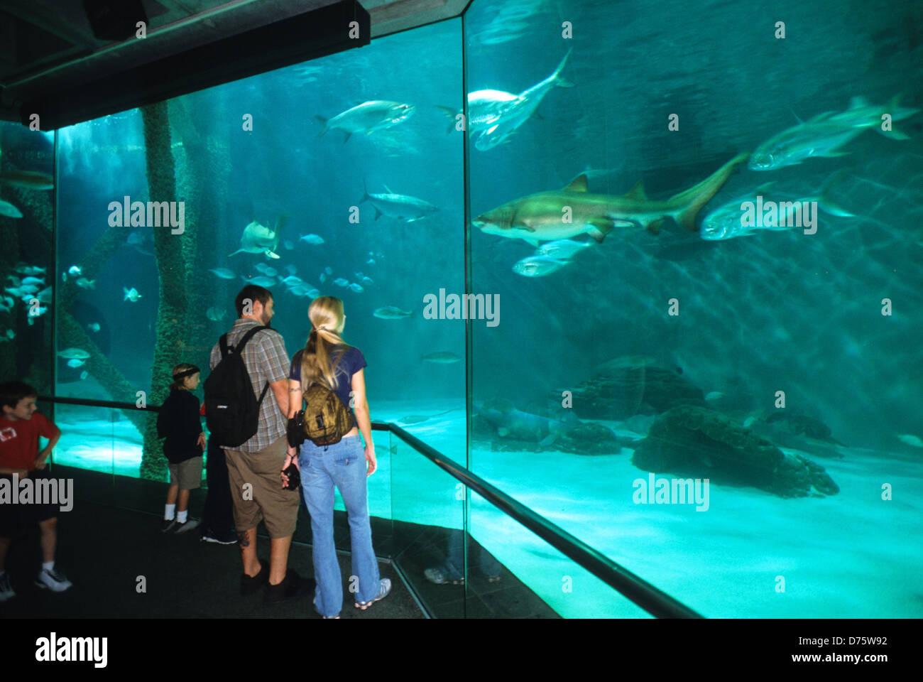 Audubon Aquarium Americas New Orleans Stockfotos Und Bilder Kaufen Alamy