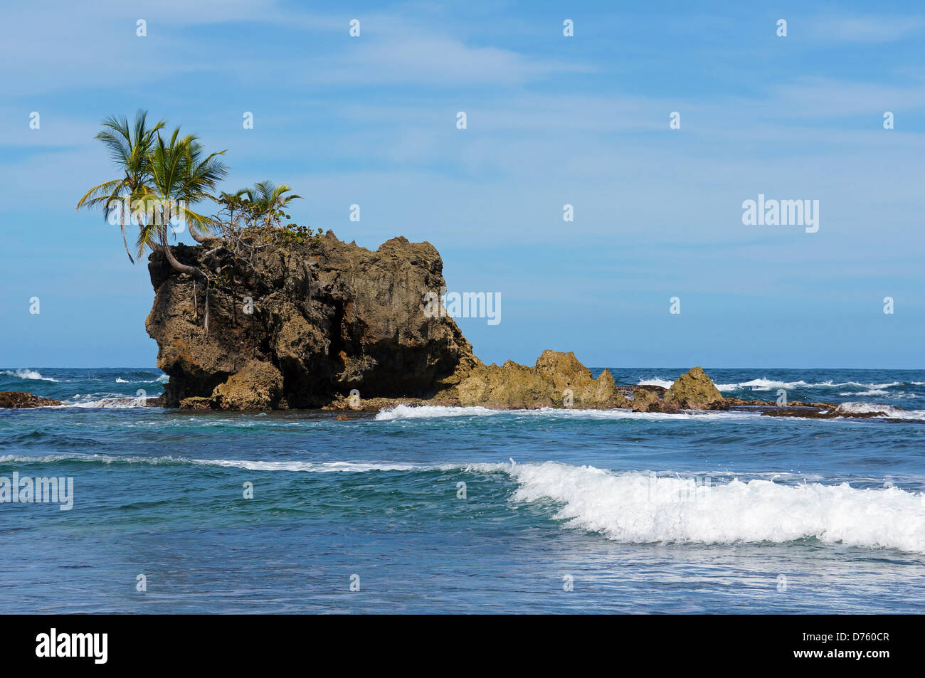 Felseninsel mit Kokospalmen, Archipel Bocas del Toro, Bastimentos Island, Karibik, Panama Stockfoto