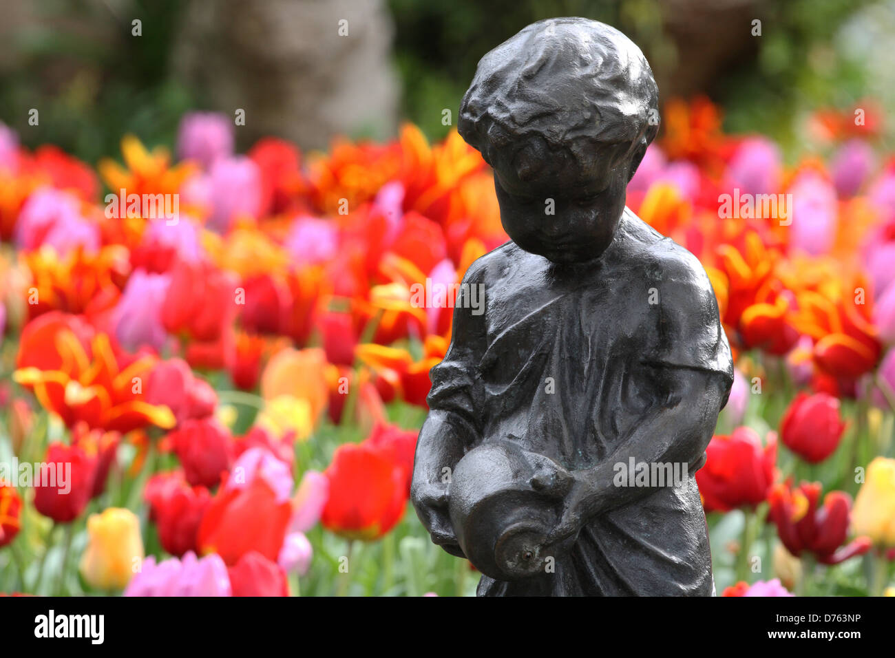 Wellington Botanic Garden Stockfoto