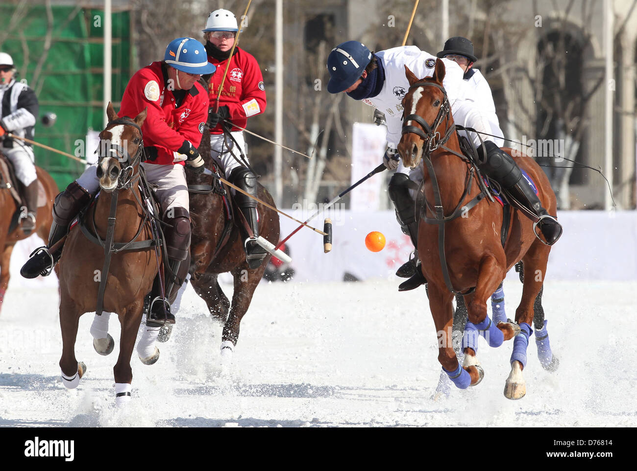 polo 2012 sport