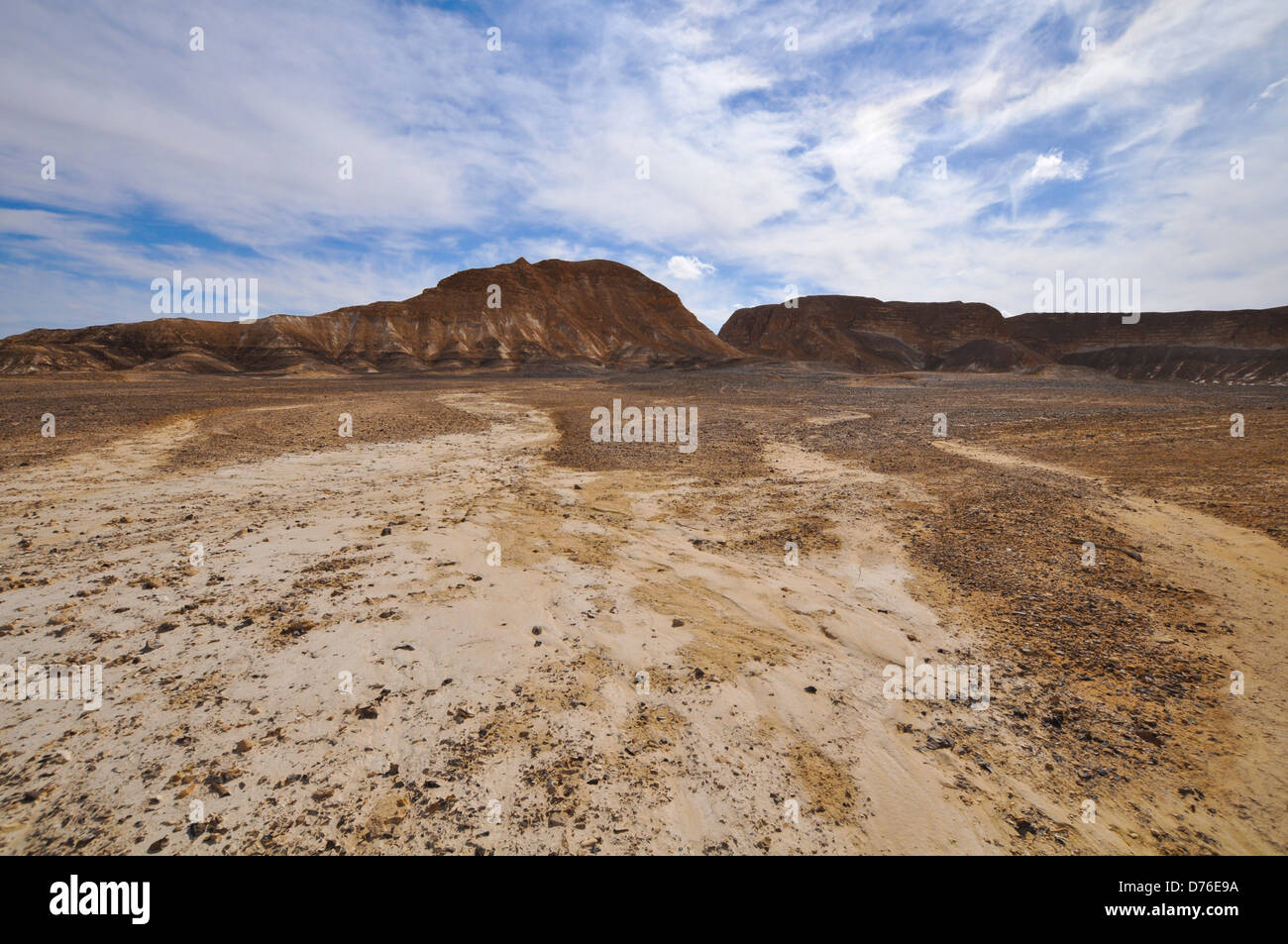 Israel, Aravah Wüste, Wadi Barak Stockfoto