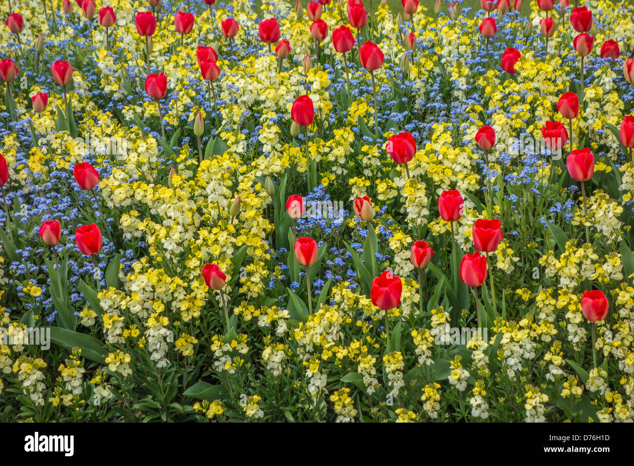 Bunte Blumenbeete Stockfoto