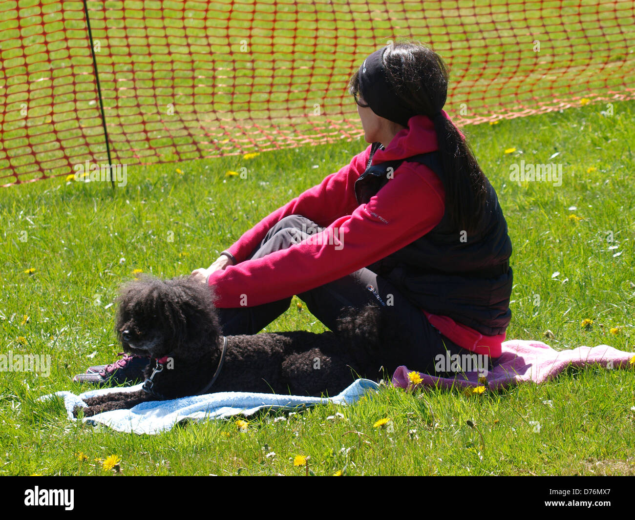 Frau saß auf dem Rasen mit Toypudel Hund, UK 2013 Stockfoto