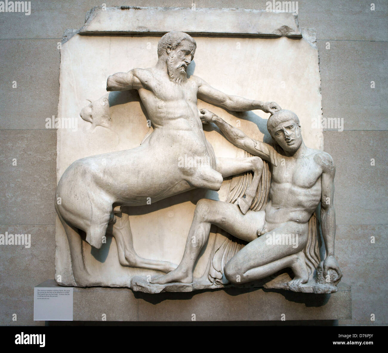 Elgin Marbles. British Museum in London. Skulptur aus Marmor Metope Figuren aus dem Parthenon. Zentaur und Lapith im tödlichen Kampf Stockfoto