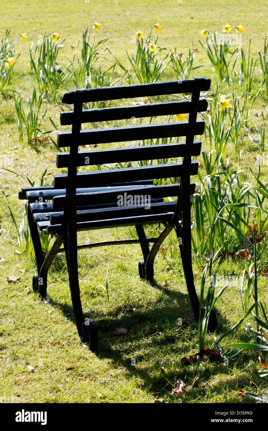 Stuhl wie ein Schatten in der Sonne mit Narzissen. Stockfoto