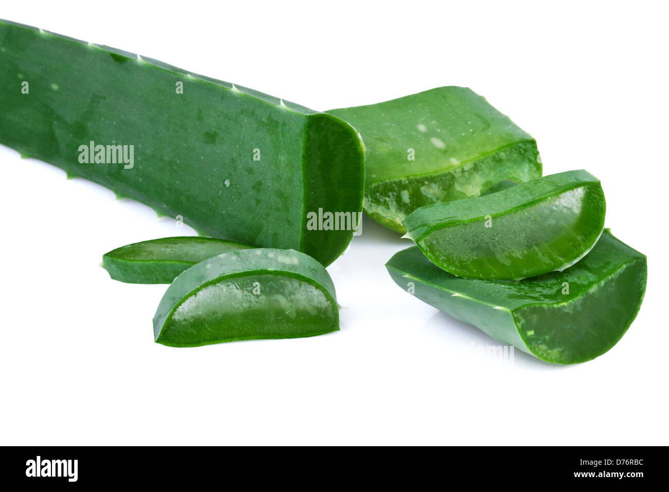 Aloe Vera Blatt und Scheiben isoliert auf weißem Hintergrund Stockfoto