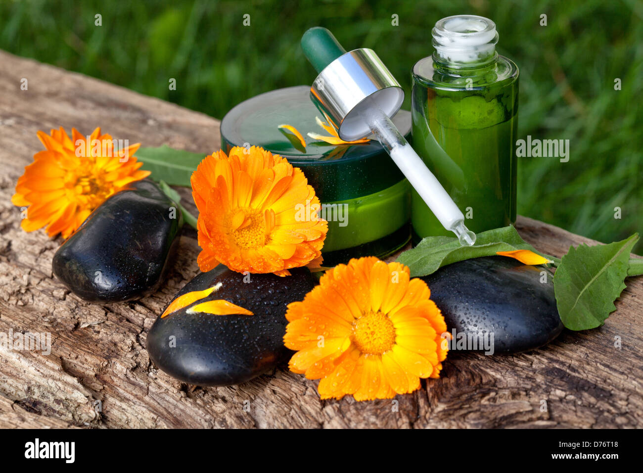 Haut Pflege, Creme, Serum mit orange Ringelblumen Stockfoto