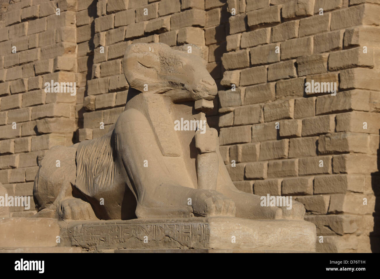 RAMS leitete SPHINX KARNAK LUXOR Ägypten 8. Januar 2013 Stockfoto