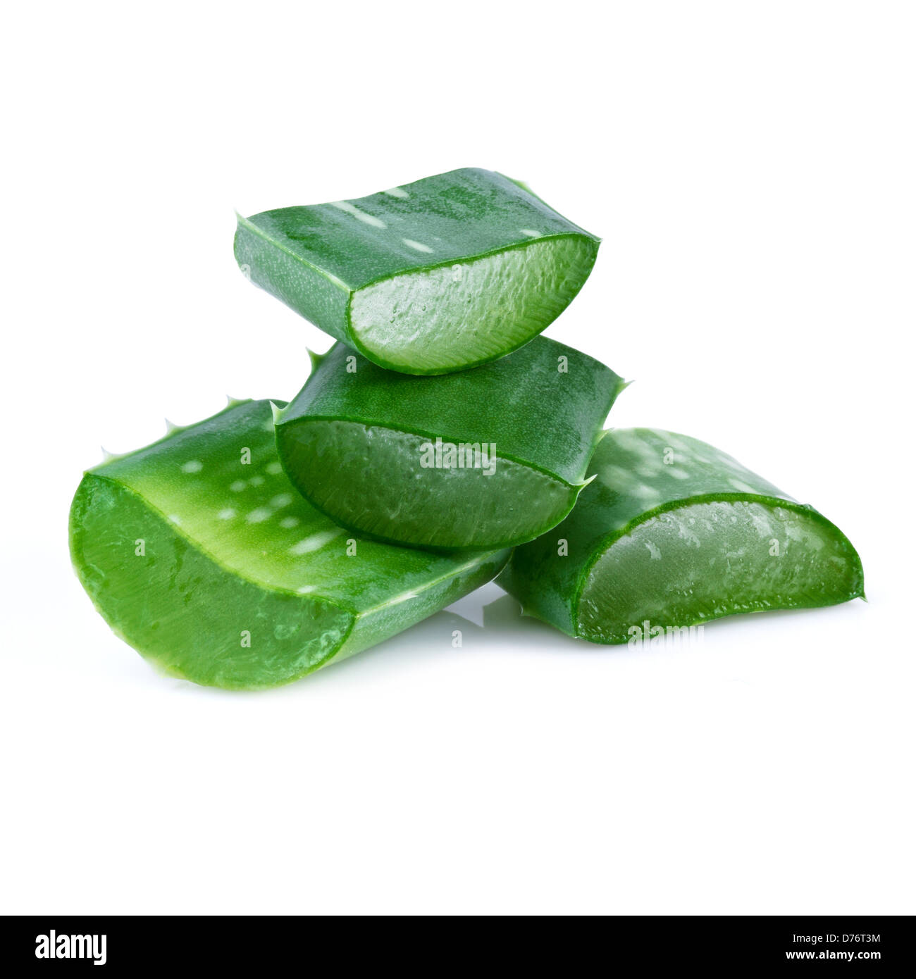 Aloe Vera Blatt und Scheiben isoliert auf weißem Hintergrund Stockfoto