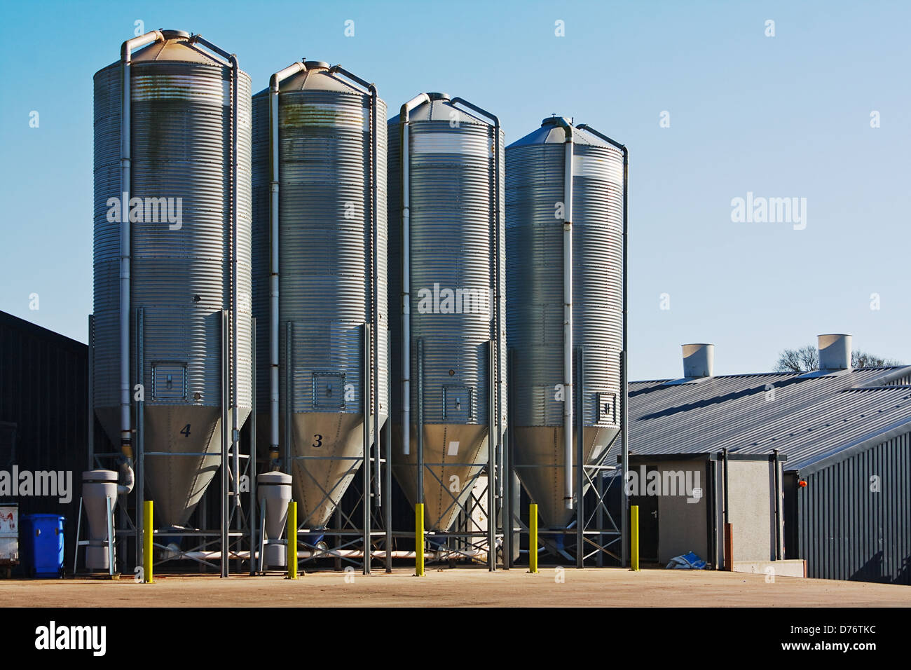 groß angelegte kommerzielle Hühnerfarm mit vier Getreidesilos Speicher für die Lagerung von Geflügel feed Stockfoto