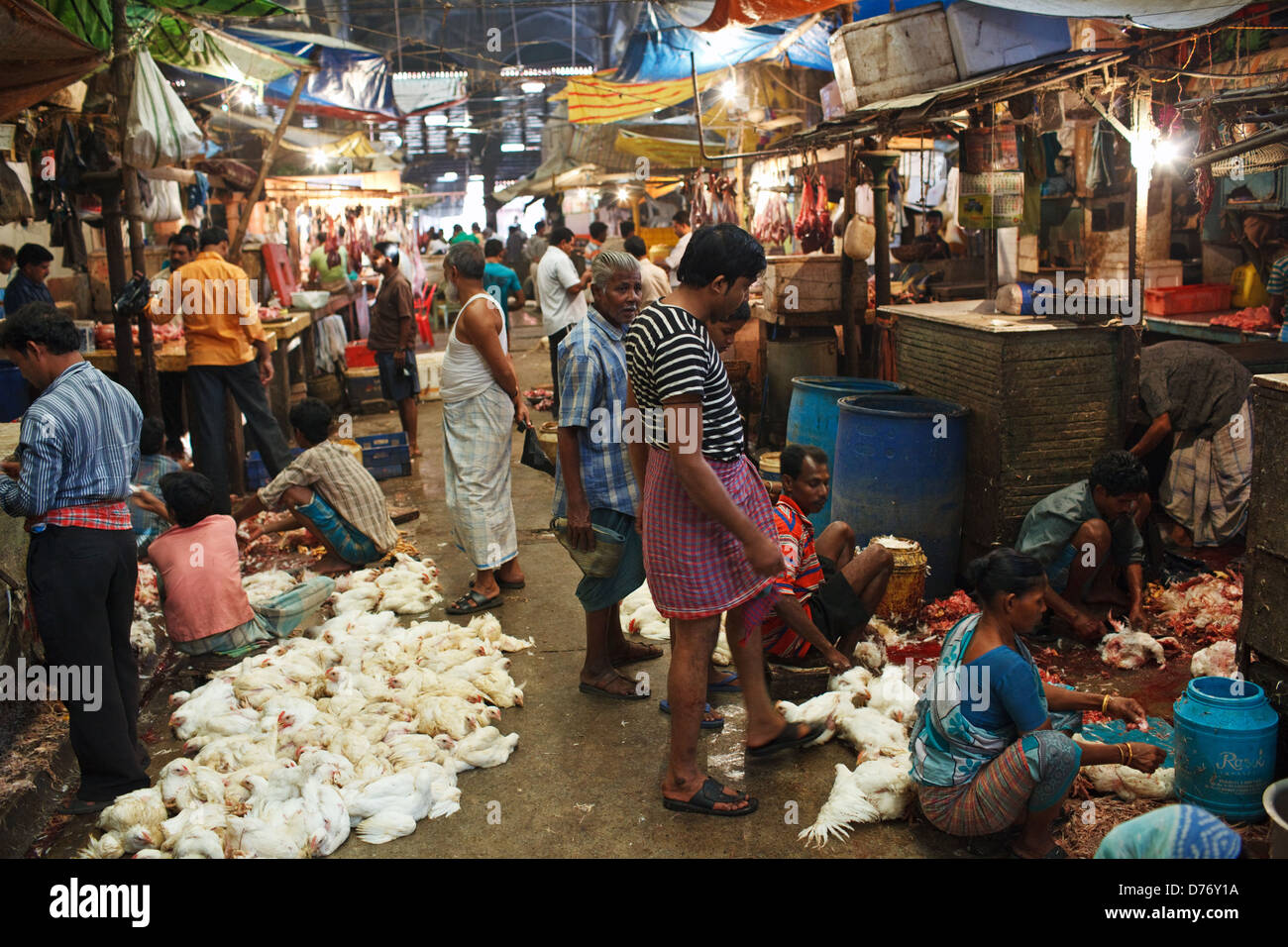 Der Abschnitt "Fleisch" am neuen Markt in Kolkata (Kalkutta), Indien Stockfoto