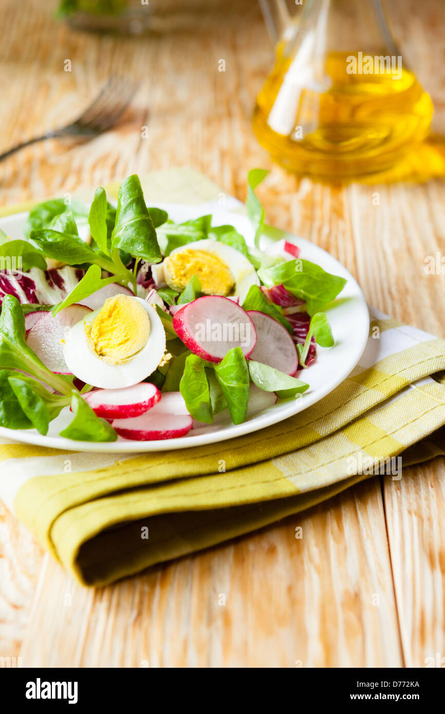 frischer Salat mit Radieschen und Ei, Essen Stockfoto
