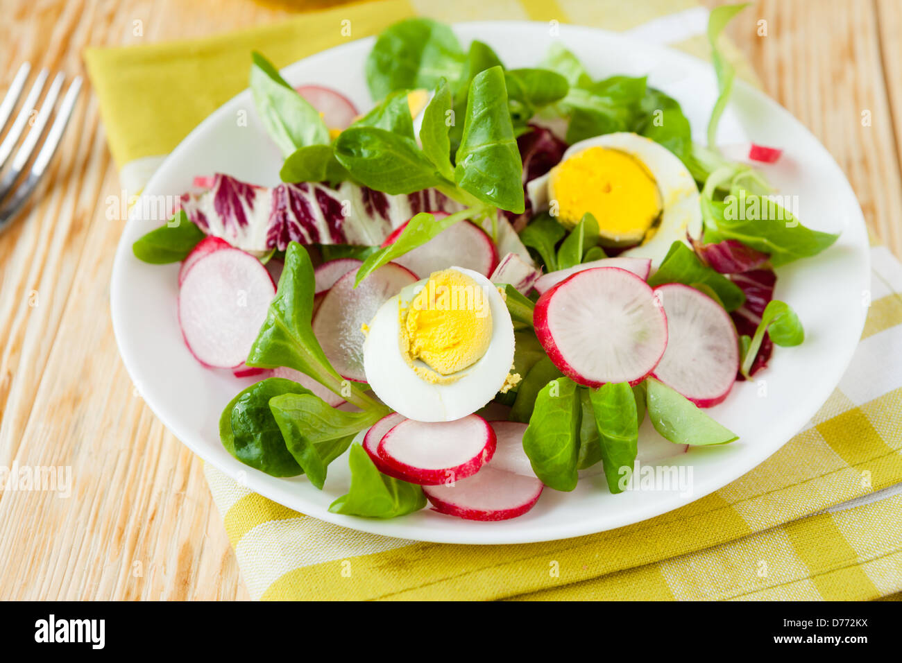 Frische Frühlingsluft Salat mit Radieschen und Ei, Essen Stockfoto