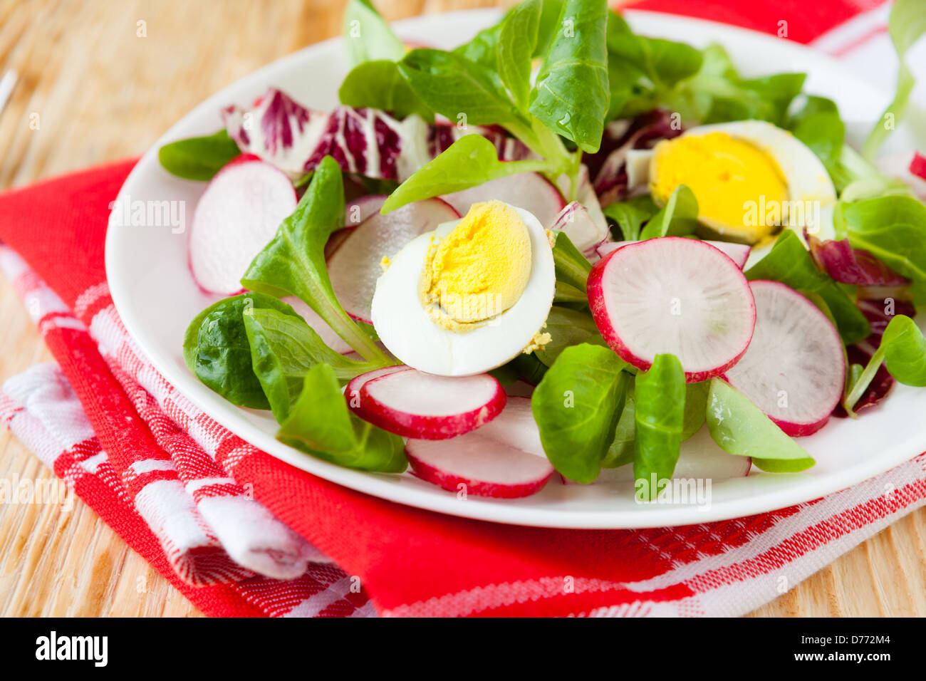 Frühling-Vitamin-Salat mit Radieschen und Ei, Nahaufnahme Stockfoto