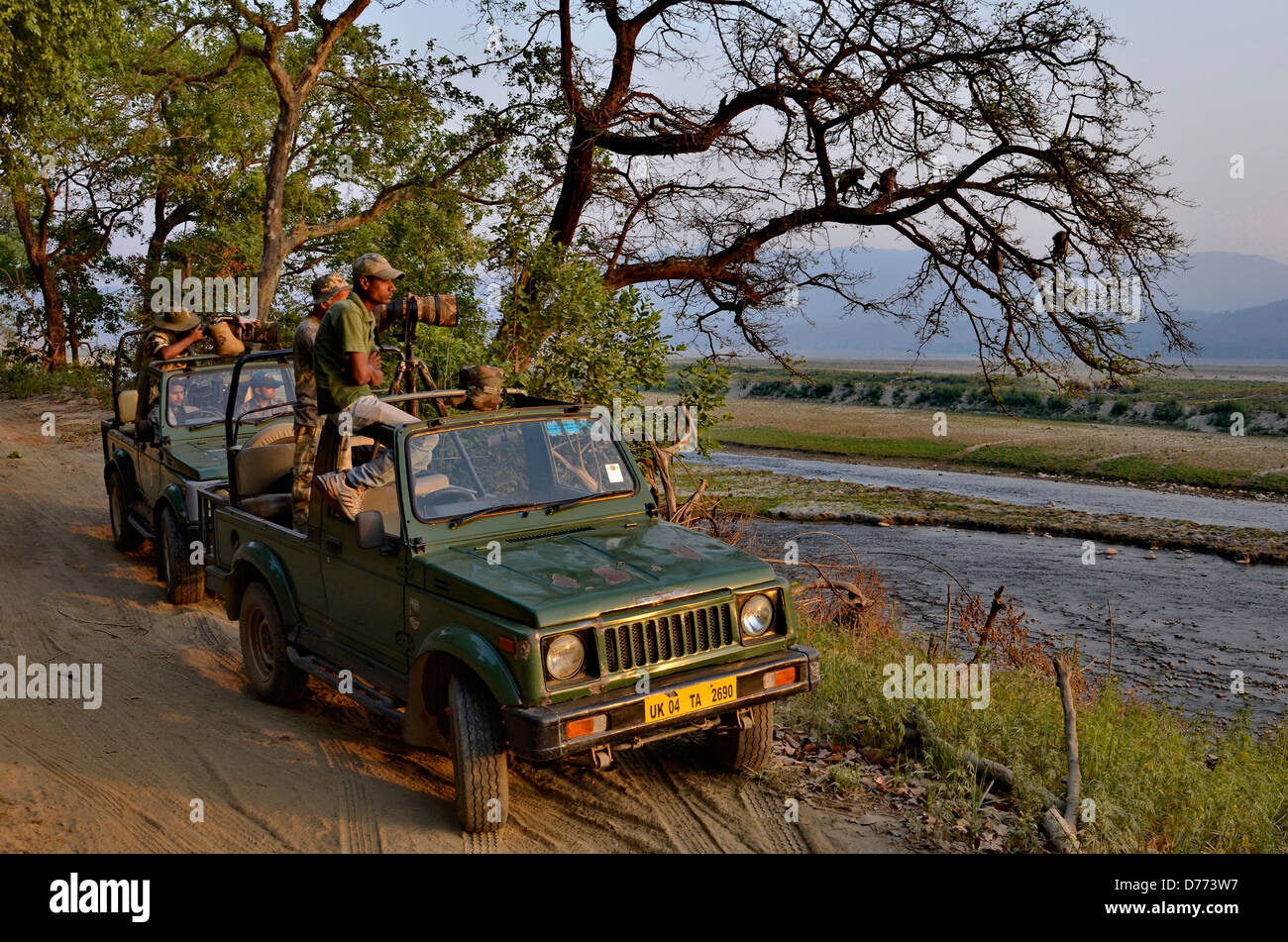 Indien-Uttarakhand Zustand Corbett Nationalpark Geländewagen fahren im Wald Stockfoto