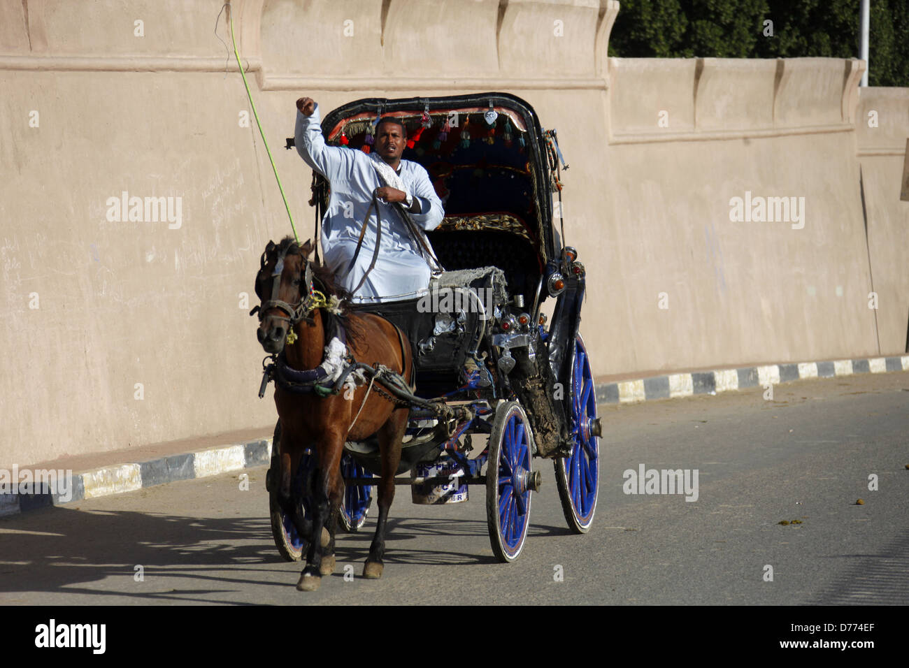 ÄGYPTISCHE Pferd & Beförderung EDFU Ägypten 9. Januar 2013 Stockfoto