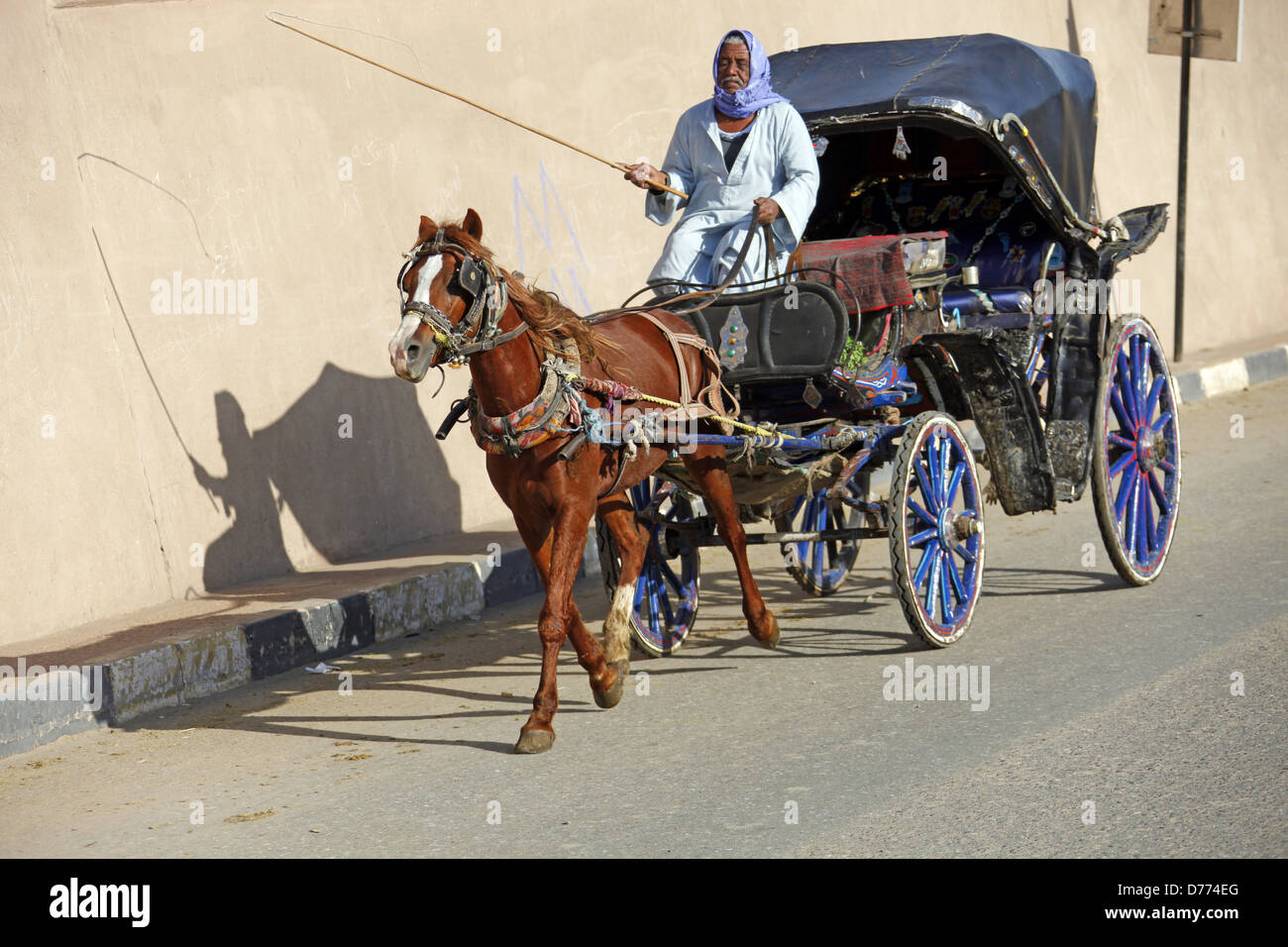 ÄGYPTISCHE Pferd & Beförderung EDFU Ägypten 9. Januar 2013 Stockfoto