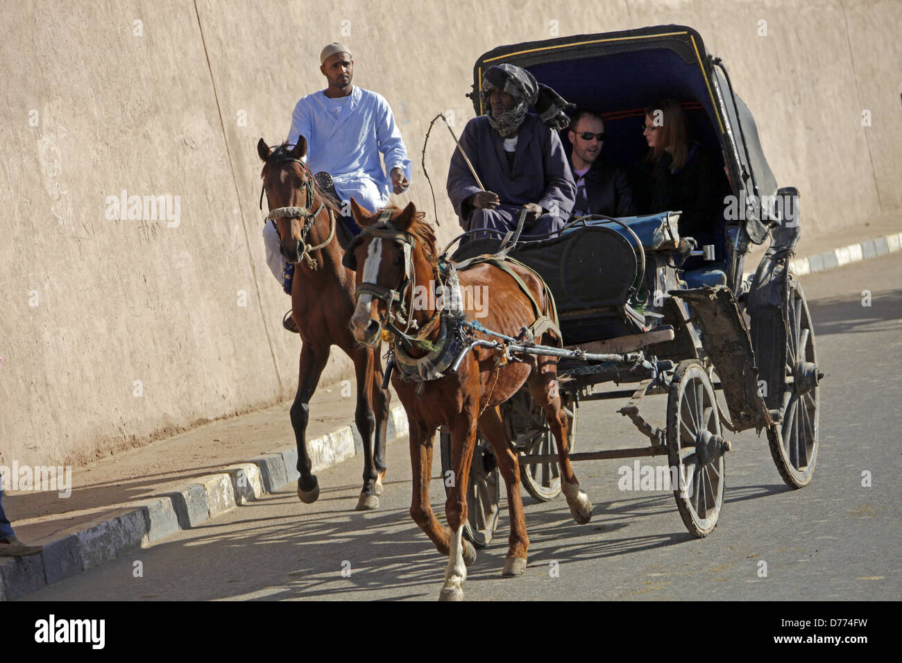 ÄGYPTISCHE Pferde & Beförderung EDFU Ägypten 9. Januar 2013 Stockfoto