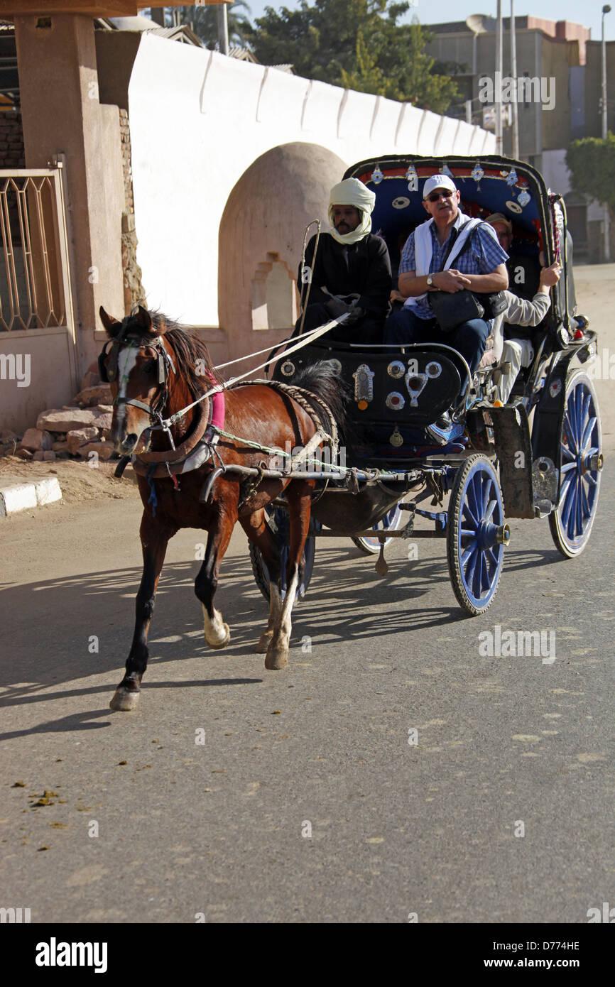 WEIßEN ägyptischen Pferd & Beförderung EDFU Ägypten 9. Januar 2013 Stockfoto