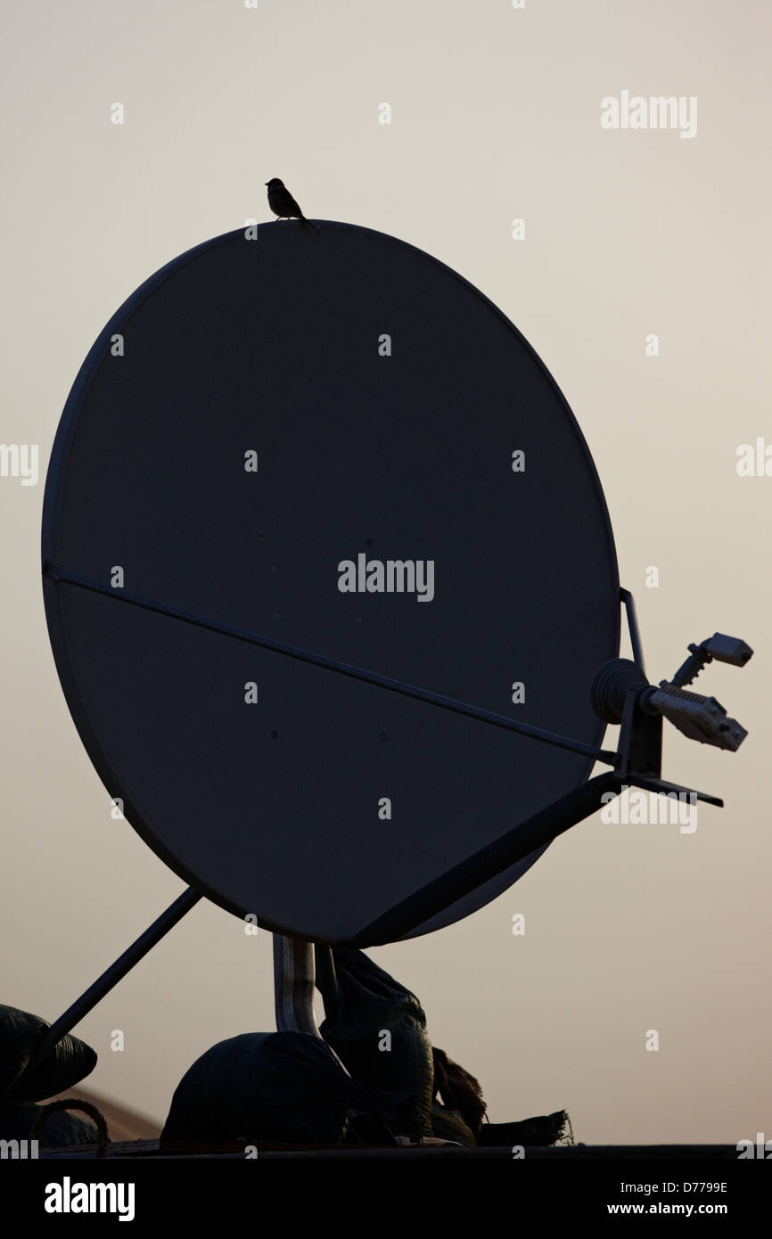Sat-Antenne kleiner Vogel Militärbasis in Afghanistan. Stockfoto