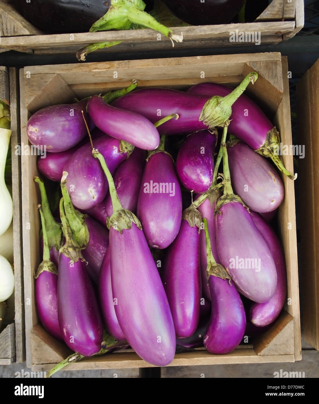 Eine hölzerne Kiste voll von schönen lila Auberginen zum Verkauf an einen örtlichen Bauernmarkt. Stockfoto