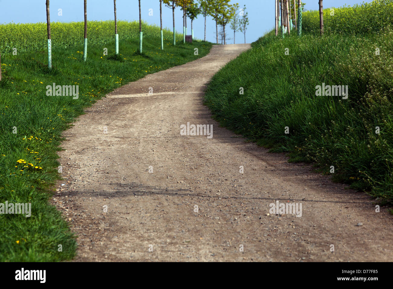 Die ländliche Straße, die zwischen Grasfeldern führt Tschechische Republik Europa Stockfoto