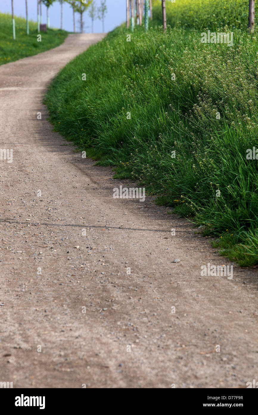 Kies Straße führt zwischen den Feldern im zeitigen Frühjahr, Tschechische Republik Stockfoto