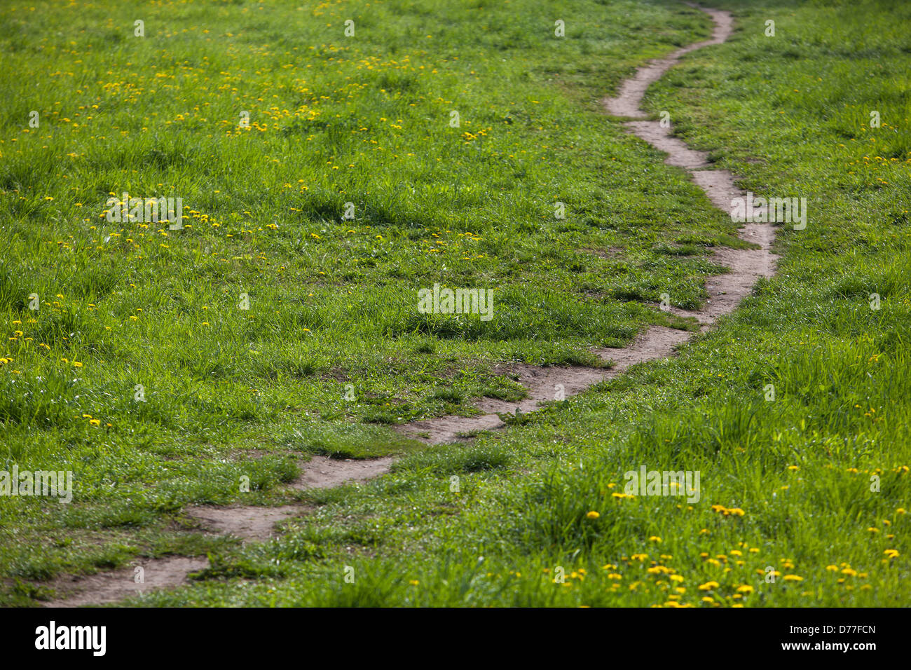 Ausgetretener Weg, Fußweg in der Landschaft Tschechien Stockfoto